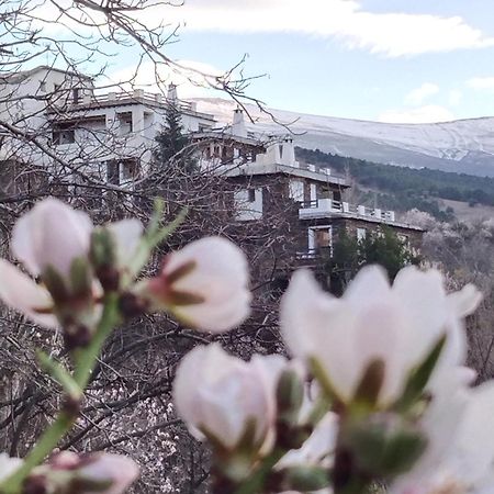 La Posada Del Altozano Lanteira エクステリア 写真