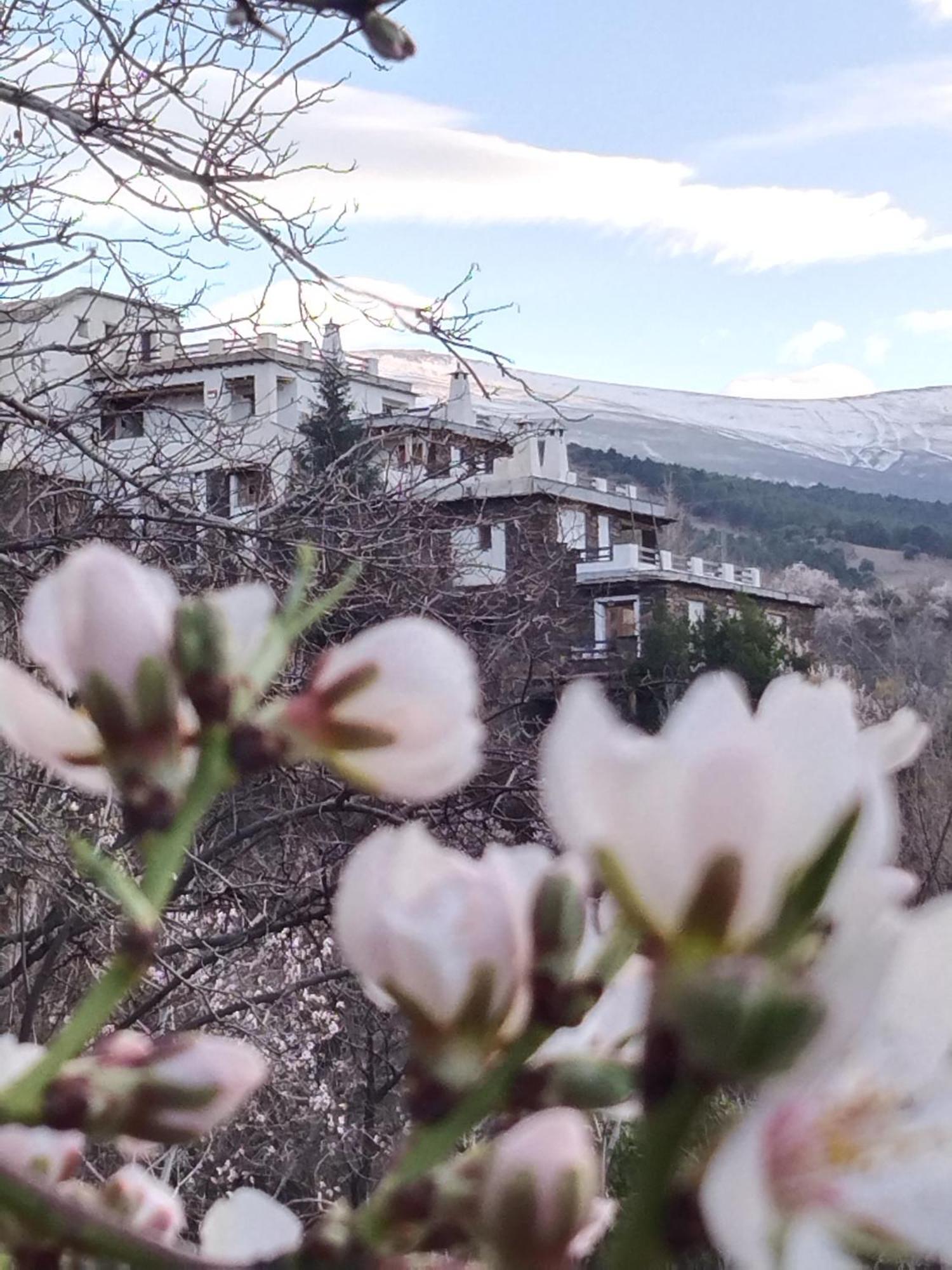La Posada Del Altozano Lanteira エクステリア 写真