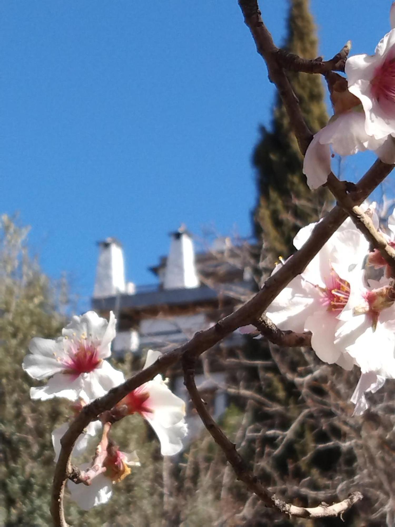 La Posada Del Altozano Lanteira エクステリア 写真