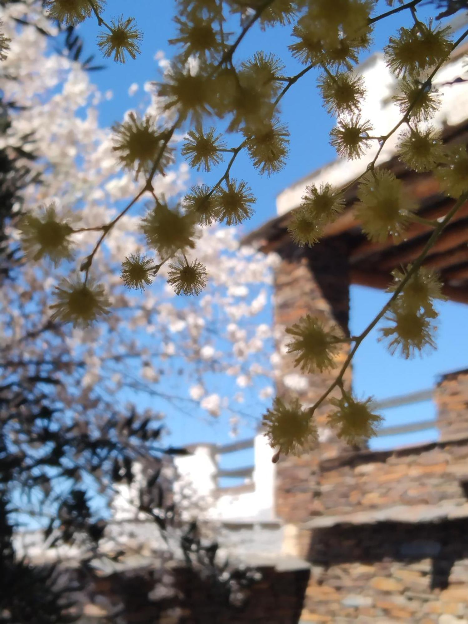 La Posada Del Altozano Lanteira エクステリア 写真