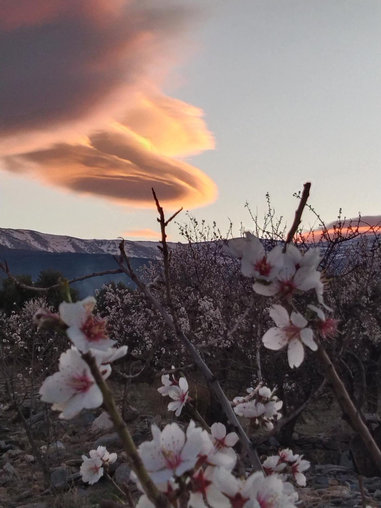 La Posada Del Altozano Lanteira エクステリア 写真