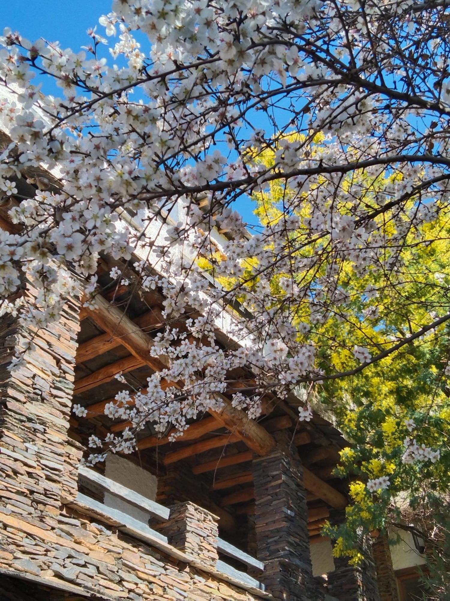 La Posada Del Altozano Lanteira エクステリア 写真