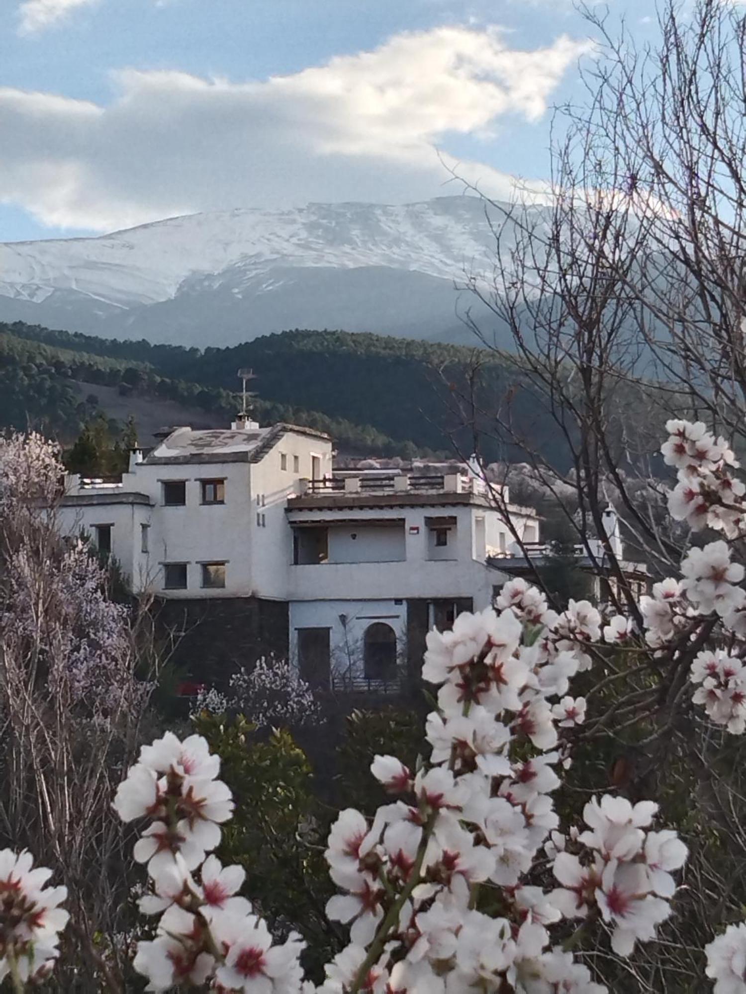 La Posada Del Altozano Lanteira エクステリア 写真